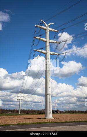 Vicino a Isselburg, a Muensterland, le linee elettriche a 380 kV scorrono su piloni a parete solida, è un progetto pilota dell'operatore del sistema di trasmissione Amprion, Nort Foto Stock