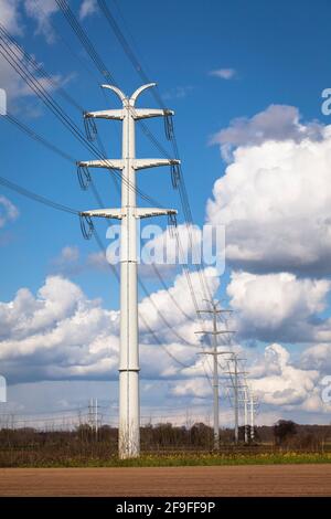 Vicino a Isselburg, a Muensterland, le linee elettriche a 380 kV scorrono su piloni a parete solida, è un progetto pilota dell'operatore del sistema di trasmissione Amprion, Nort Foto Stock