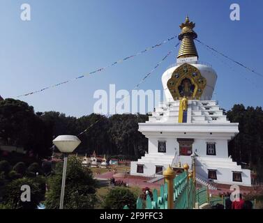 Dehradun, India - 04 novembre 2016: Statua del Signore Buddha monastero Tempio con stupa d'oro in cima, situato a Uttrakhand, Asia meridionale Foto Stock