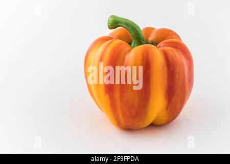 Peperone giallo arancio e rosso "jouya" (capsicum) su sfondo bianco con spazio per la copia Foto Stock