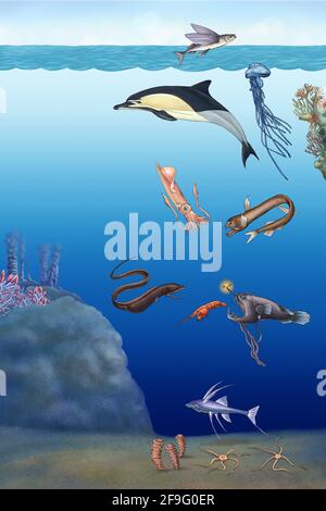 illustrazione realistica delle creature marine Foto Stock