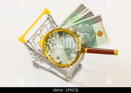 Un carrello della spesa in miniatura con denaro polacco e una lente d'ingrandimento. Concetto economico e commerciale, aumento dell'inflazione e sconvolgere l'economia del paese. Foto Stock