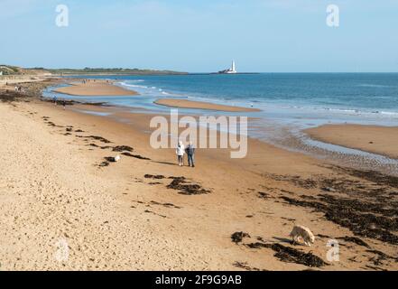 I cani da passeggio della coppia più anziana su Whitley Sands, Whitley Bay, Inghilterra nord-orientale, Regno Unito Foto Stock