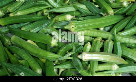 Lady's Fingers è un nome inglese alternativo per okra, i semi muchilaginosi di una pianta della famiglia hollyhock. Le dita di Lady sono un'alternativa Foto Stock