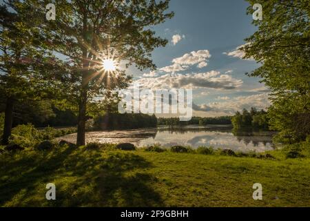 Harvard Pond a Petersham, Masachusetts nel tardo pomeriggio Foto Stock