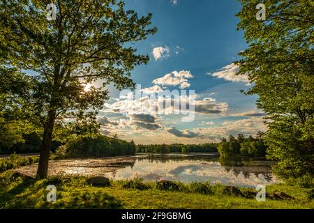 Harvard Pond a Petersham, Masachusetts nel tardo pomeriggio Foto Stock