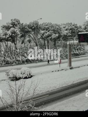 Un'immagine verticale di strade circondate da alberi e cespugli coperto di neve sotto un cielo nuvoloso Foto Stock