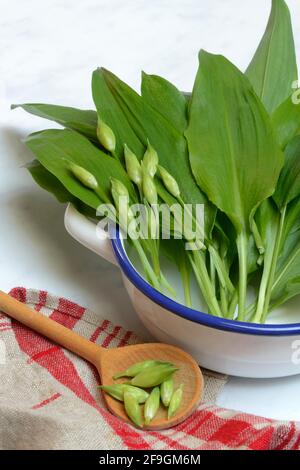 Aglio selvatico, foglie di aglio selvatico e boccioli in buccia e cucchiaio da cucina, Germania Foto Stock