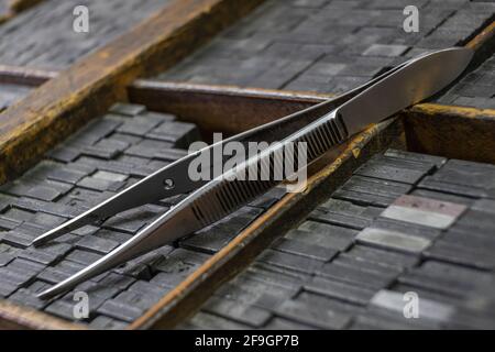 Morsetti su vecchi cassetti in legno vintage per letterpress, con i loro tipi di piombo in esso. Foto Stock