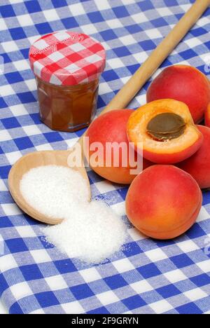 Marmellata di albicocche (Prunus armeniaca), cucchiaio da cucina con zucchero, marmellata, marmellata Foto Stock