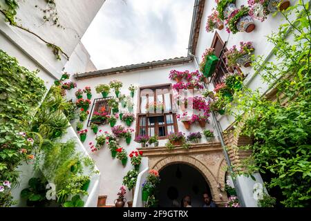 Vasi di fiori con fiori rossi appesi su un muro, cortile interno decorato, Fiesta de los Patios, Cordoba, Andalusia, Spagna Foto Stock