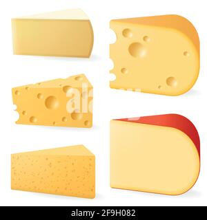 Vari tipi di formaggio. Illustrazione Vettoriale