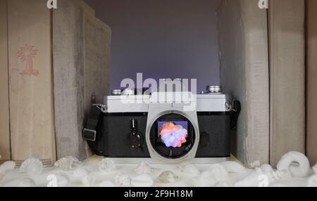 Una vista di una conchiglia colorata all'interno di una classica macchina fotografica. Davanti, una moltitudine di conchiglie bianche.. Foto Stock