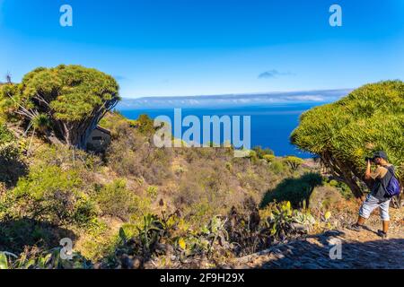 Un fotografo che gira intorno e scatta foto del sentiero Las Tricias in Garafia, nel nord dell'isola di la Palma, Isole Canarie Foto Stock