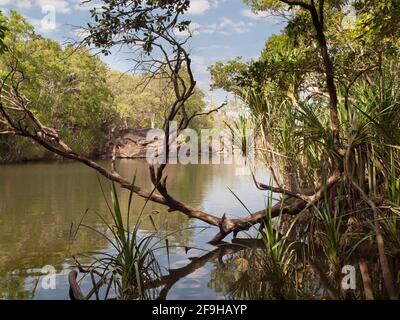 Piscina sotto le cascate Little Mertens, stagione secca, Mitchell River (Ngauwudu) National Park, Kimberley, Australia occidentale Foto Stock