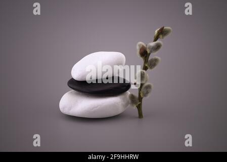 Pila di pietre bianche e nere e ramoscelli di catkin, zen still life con calme sfumature di grigio e spazio di copia per il testo Foto Stock