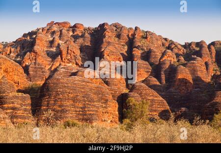 Cupole conglomerate arancioni della gamma della giungla, Parco Nazionale di Purnululu, Australia Occidentale Foto Stock