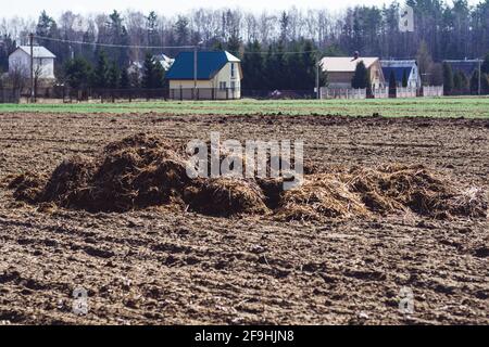 Mucchio di concime su campo arato in villaggio in primavera con case sullo sfondo Foto Stock