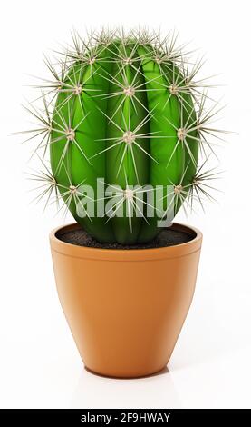 Cactus decorativo in vaso di fiori isolato su sfondo bianco. Illustrazione 3D. Foto Stock