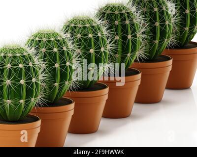 Gruppo di cactus in vasi di fiori isolati su sfondo bianco. Illustrazione 3D. Foto Stock