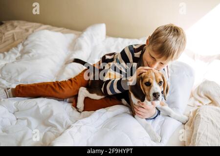 Razze di cane migliori per i capretti, cani di buona famiglia. Presentazione dei cuccioli e dei bambini. Simpatico cucciolo di Beagle e ragazzo che gioca a letto a casa Foto Stock