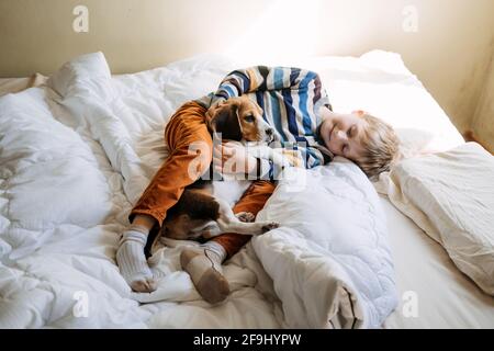 Razze di cane migliori per i capretti, cani di buona famiglia. Presentazione dei cuccioli e dei bambini. Simpatico cucciolo di Beagle e ragazzo che gioca a letto a casa Foto Stock