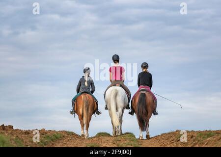 Tre ragazze che cavalcano Haflinger Horses, visto dalla parte posteriore. Germania Foto Stock