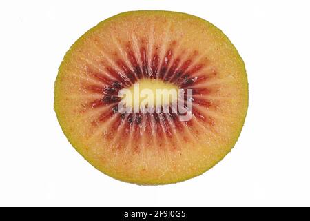 Sezione trasversale di un kiwifruit rosso o di un golo cinese (genere Actinidia), isolato su sfondo bianco. Foto Stock