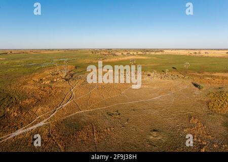 Veduta aerea del paesaggio naturale del delta dell'Okavango, prateria, paludi. Botswana, Africa Foto Stock