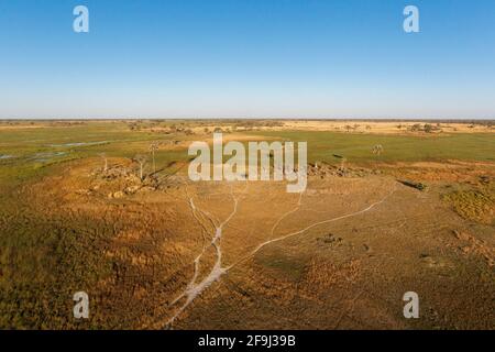 Veduta aerea del paesaggio naturale del delta dell'Okavango, prateria, paludi. Botswana, Africa Foto Stock