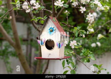 little birdhouse in spring over blossoming apple tree Foto Stock