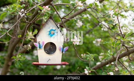 Vintage birdhouse on background of blossoming apple tree Foto Stock