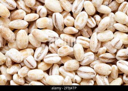 Perlato orzo essiccato closeup piatto cibo texture sfondo. Vista dall'alto macro orzo a due file con semi di buccia. Concetto di vegetarianismo e alimentazione sana Foto Stock