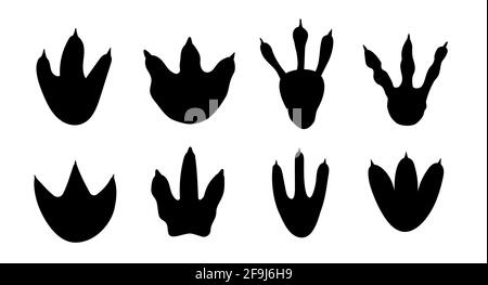 Dinosauro footprint traccia zampa allosaurus sfondo set. Dinosauro cartoon piede dinosauro Illustrazione Vettoriale