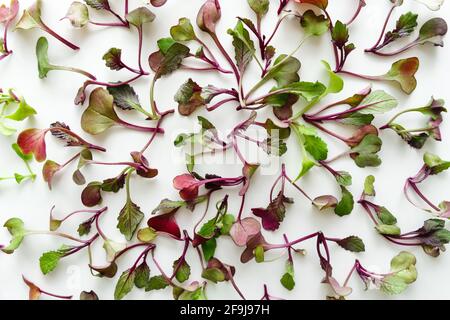 Vista dall'alto a motivo da micrograni organici freschi. Concetto di supercibo. Ravanello rosso rambo micrograno Foto Stock