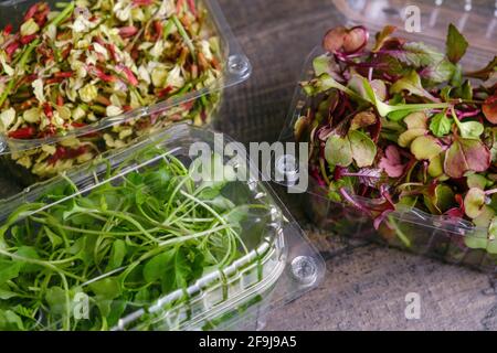 Contenitori in plastica con broccoli e micrograni ravicciati rossi rambo Foto Stock