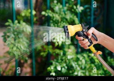 Immagine ravvicinata di piante e fiori che innaffiano la donna in lei giardino al mattino Foto Stock