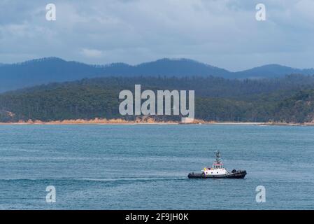 Pusher Tug Flinders Bay a Twofold Bay vicino Eden, New South Wales, Australia è una Tug porto ASD di 26.1 metri con 214 stazza lorda e 127 pesi morti Foto Stock