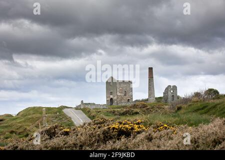 primavera, fiori e cielo nuvoloso. Tankardstown. Geopark Costa del rame Foto Stock