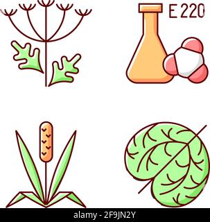 Set di icone di colori RGB allergeniche Illustrazione Vettoriale