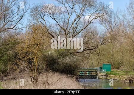 Fiume Nene tra Cogenhoe e Grendan nella valle di Nene, Northamptonshire, Engand, UK> Foto Stock