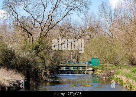 Fiume Nene tra Cogenhoe e Grendan nella valle di Nene, Northamptonshire, Engand, UK> Foto Stock