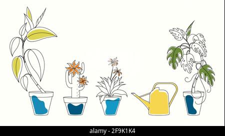Set line art di illustrazioni piante in casa in pentole e. un lattino di annaffiatura giallo Illustrazione Vettoriale