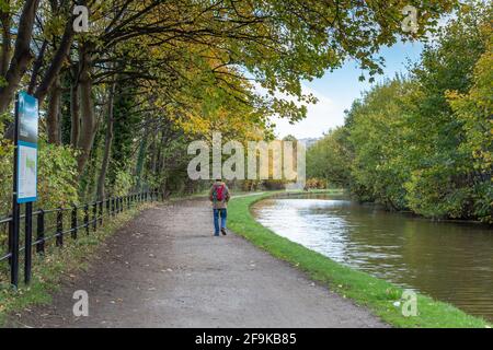 Un uomo cammina lungo l'alzaia del canale Leeds Liverpool a Saltaire nello Yorkshire. Foto Stock