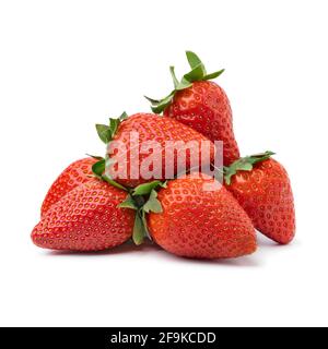Un mucchio di fragole rosse mature appena raccolte isolate su bianco sfondo Foto Stock