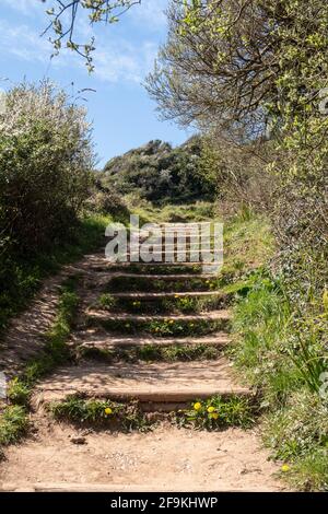 A pochi passi dalla spiaggia di Weston Mouth, lungo il percorso costiero sud-ovest, tra Sidmouth e Branscombe, Devon. Foto Stock