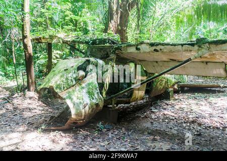 Relitto in aereo nel Cockscomb Basin Wildlife Sanctuary, Belize. Questo aereo si schiantò con il dottor Alan Rabinowitz, biologo che studiava jaguar. Foto Stock