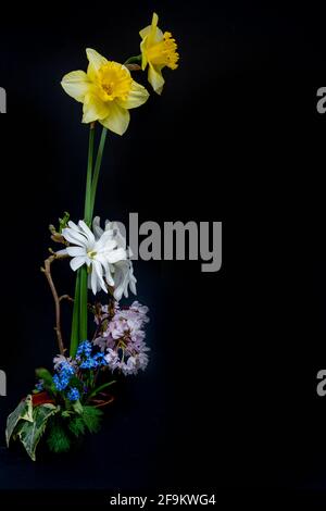 Elegante disposizione dei fiori primaverili su sfondo nero Foto Stock