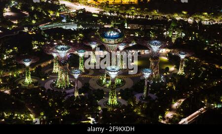 Singapore - 8 gennaio 2014: Veduta aerea del Supertree Grove sui Giardini della Baia di Singapore. Foto Stock