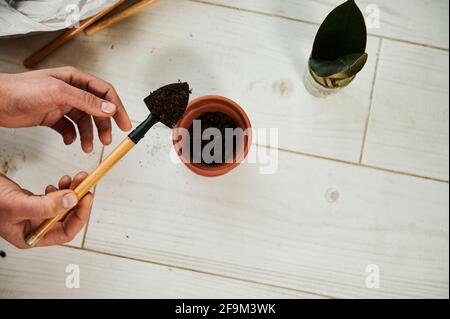 Mettere a fuoco su una pentola di argilla sul pavimento e una mano di donna che tiene una pala da giardino piccola con terreno di pianta. Primo piano Foto Stock